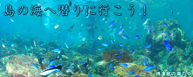 島の海へ潜りにいこう！